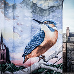 Brightens Up The Day!!