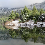 In the Dream of Winter (In Explore 12/04/2021 and 12/29/2021)