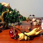 Christmas Cat-astrophe