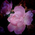 Every new day is a fresh start