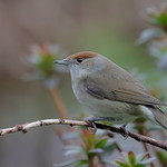 Falmouth, Cornwall UK.