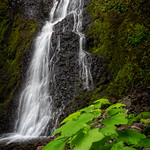 Starvation Creek Falls