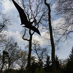 PTERANODON, AN UNEXPECTED VISITOR FROM CRETACEOUS