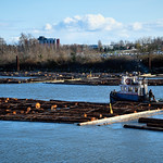 QUADRANT RECRUIT, Tugboat c. 1966