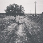 frozen in time /bw edition/