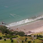 Life at the beach...