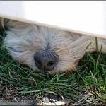 I'm Never Out Of His Sight...