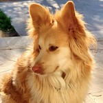 Jolie - Kissed by the Sun.