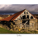 The Old Shed Tornichelt_3077