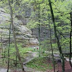 Exploring the Upper Illinois River Region, Part SRSP-A: Bud Break in St. Louis Canyon | Starved Rock State Park, Illinois, USA