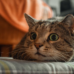 OMG ... a new week !