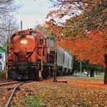 Complimentary Colors