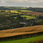 The First Brush Strokes of Autumn