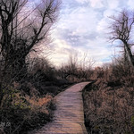 After the rain again (Explored - thank you !)