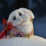 Happy New Year 2023!!!