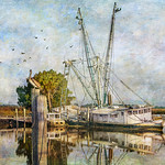 She was a Beauty in Her Day