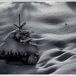 L1050551SWR_Leica SL2-S_Elmarit-R (I) 2.8 135mm_Pitztal_Mandarfen_Winter monochrom
