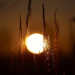 The sun is back today...