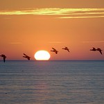 Night flight ... Vol de nuit ... 😍