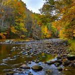 Low levels in Autumn