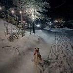 woman of the woods | fifty four of three hundred and sixty five