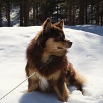 Have a Happy Easter 🌞