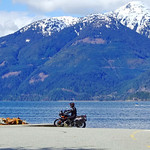 Yes, it's that time of year again! (+1)