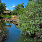 Pretty Nature Parkland by Kaye Menner