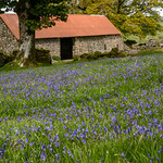 Emsworthy Barn, Dartmoor, Devon.