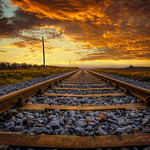 Tracks From the Mine