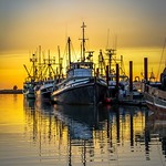 'GO FOR THE GOLD' - Steveston Harbour BC