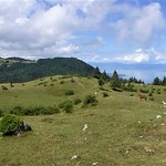 07.04.23. Sous les M&eacute;mises (France)