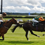 Committed riding .......