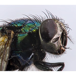 Who's a pretty boy then 1