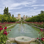 Alc&aacute;zar de los Reyes Christianos / Alcazar des rois chr&eacute;tiens de Cordoue