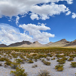 Chihuahuan Desert Landscape