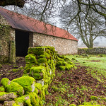 The taste of things to come