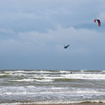 "Hey babe, take a walk on the wild side ........ "