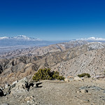 Exploring America&rsquo;s Crown Jewel in Joshua Tree National Park