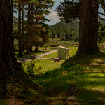 Midday picnic midway