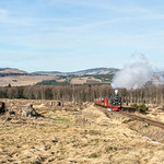 Climate Change Catastrophe