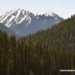 Rising - (Published by GETTY IMAGES)