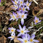 Happy Easter weekend