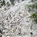 April snowfall in Wisconsin