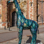 Standing Tall # 6, Cambridge