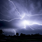 Friday Morning Fry-Up!