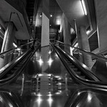 Schillernder Aufstieg