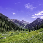 Mineral King Valley, Sequoia N. P.