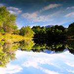 The World Turned Upside Down