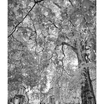 The Circus, Bath infrared